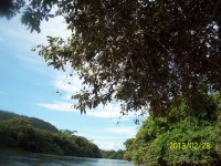 /album/galeria-de-fotos/rosy-316-jpg/